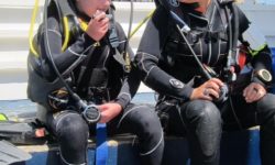 padi-bubble-maker