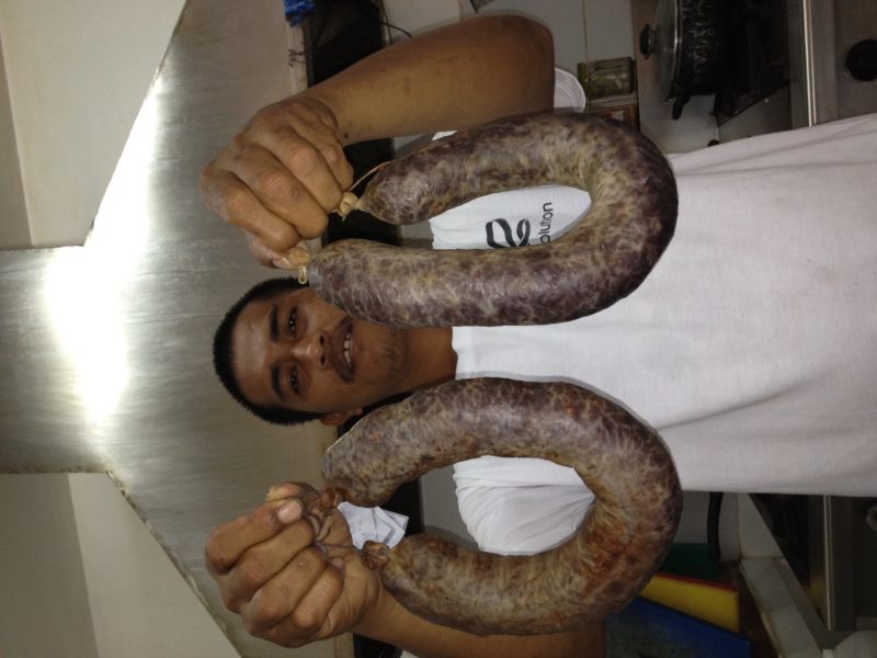 Evolution Diving Resort Malapascua