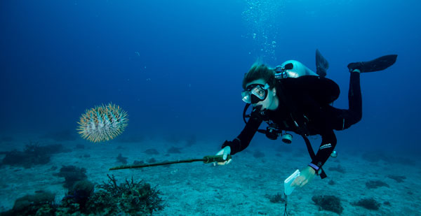 diving malapascua