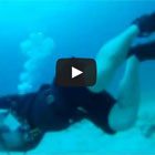 Evolution Diving Resort Malapascua
