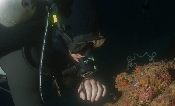malapascua resort diving