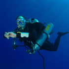 Evolution Diving Resort Malapascua