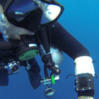 Evolution Diving Resort Malapascua