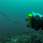 Evolution Diving Resort Malapascua