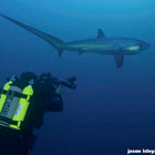 Evolution Diving Resort Malapascua