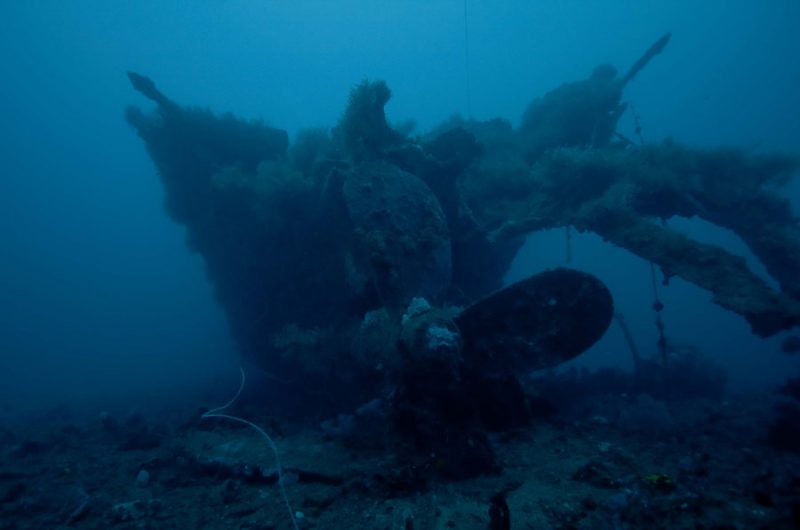 Evolution Diving Resort Malapascua