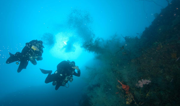 Malapascua Island Diving Resort