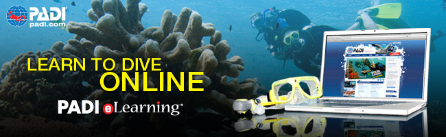 Evolution Diving Resort Malapascua