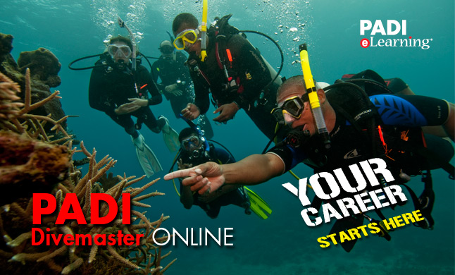 Evolution Diving Resort Malapascua