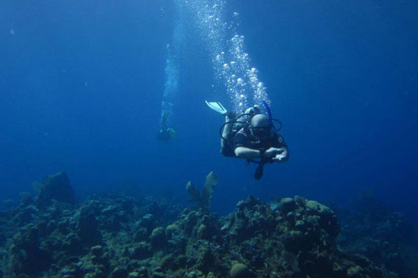Evolution Diving Resort Malapascua