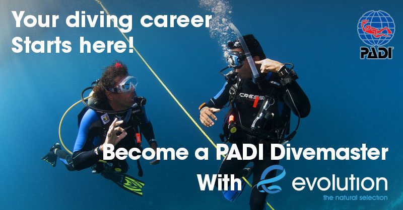 Evolution Diving Resort Malapascua