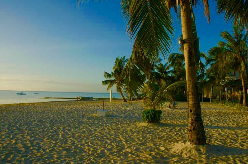 Evolution Diving Resort Malapascua
