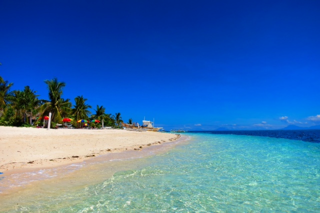 Evolution Diving Resort Malapascua