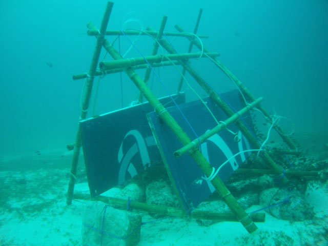 evolution house reef 