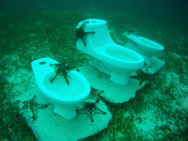 house reef evolution diving resort malapascua