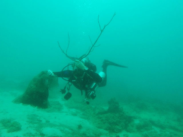 dive site cleaning malapascua