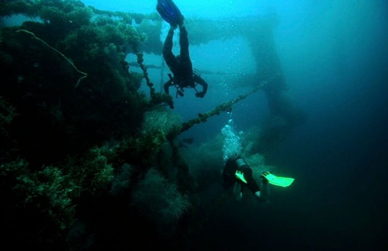 Evolution Diving Resort Malapascua