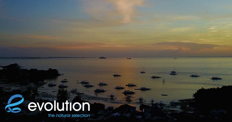 Evolution Diving Resort Malapascua