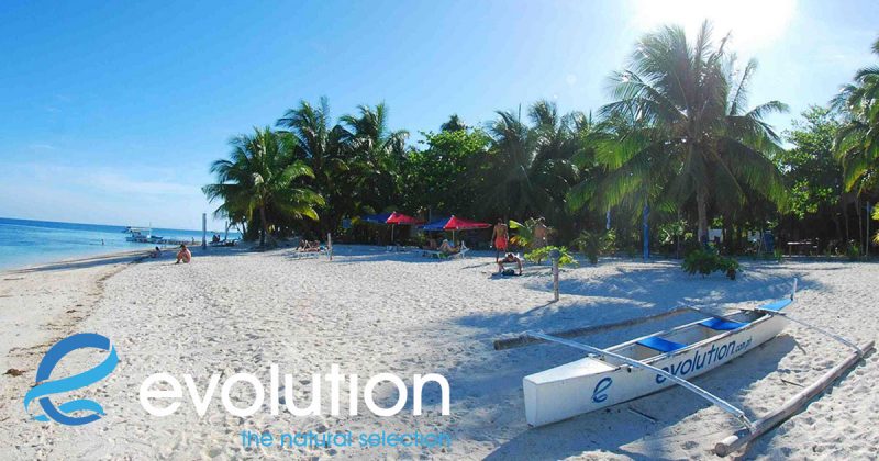 Evolution Diving Resort Malapascua