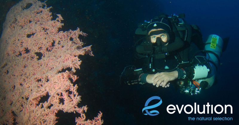 Evolution Diving Resort Malapascua