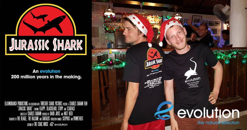 jurassic shark t shirt evolution diving resort