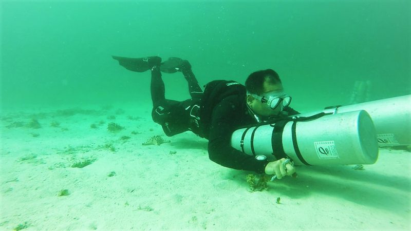 Evolution Diving Resort Malapascua